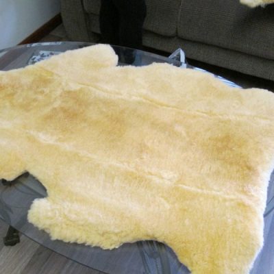 MEDICAL-SKIN-2-600x600