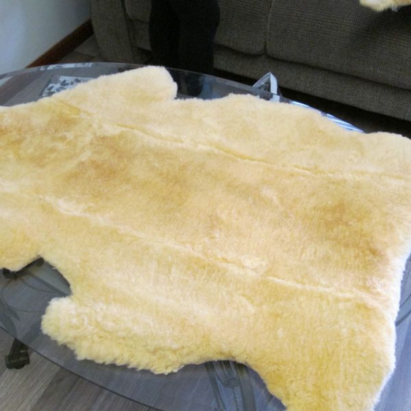 MEDICAL-SKIN-2-600x600